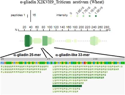 Immunogenic Potential of Beer Types Brewed With Hordeum and Triticum spp. Malt Disclosed by Proteomics